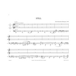 Pelle Gudmundsen-Holmgreen: Still. Leben (Organ)
