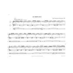 Pelle Gudmundsen-Holmgreen: In Triplum I-II-III (Organ)