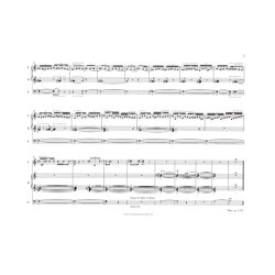 Pelle Gudmundsen-Holmgreen: In Triplum I-II-III (Organ)