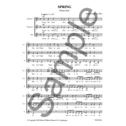 Michael Bojesen: Spring