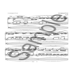 Carl Nielsen: Complete Works - Commotio Op.58