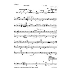 Carl Nielsen: Sleep (Svnen) Op.18 (Parts)