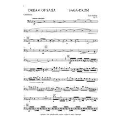 Carl Nielsen: Saga Dream Op.39 (Parts)