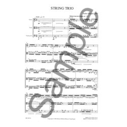 STRING TRIO