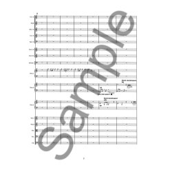 KONCERT FOR SKRAMMEL OG ORKESTER