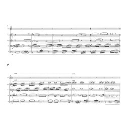 Jouni Kaipainen: ?OHIKULKUA JA EPILYST? (Score)