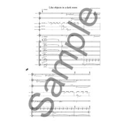 LIKE OBJECTS IN A DARK ROOM - 2007 VERSION