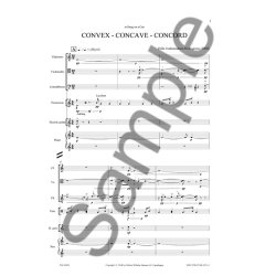 CONVEX-CONCAVE-CONCORD