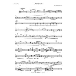 Bent Srensen: Schattenlinie (Score & parts)