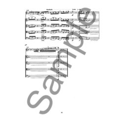 Anders Koppel: Quintet for Clarinet in Bb and String Quartet (Version B)