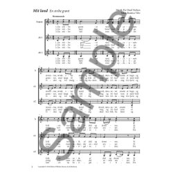 Per Drud Nielsen: Mit Land - En Stribe Gr&oslash;nt (SAA)