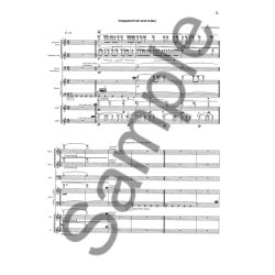 INAPPARENT AIR AND AVIARY