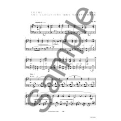 THEME AND VARIATONS OP. 40