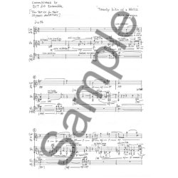 Bent S&oslash;rensen: Twenty Bits Of A Waltz (Score)