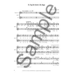 Sren  Birch: Og Det Skete I De Dage