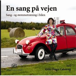 En sang p vejen - Sang og Stemmetrning