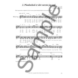 BORCHERSEN, THOMAS JORDEN RUNDT I 80 DAGE SANGHFTE MED CD