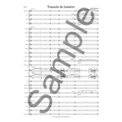 BENT SRENSEN TUNNELS DE LUMIRE SC