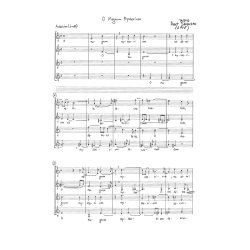 Bent Srensen: O Magnum Mysterium