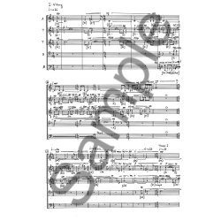 S&atilde;rensen Sneklokker 2013 Version Cs