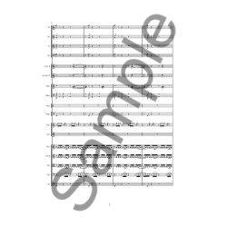 KOPPEL CONCERTO FOR RECORDER,SAXOPHONE AND ORCHESTRA SC