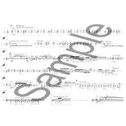 Henrik Hellstenius: The Argonaut for Violin Solo