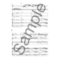 Jouni Kaipainen: Sonata Concertante (Score)