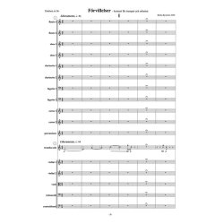 BRITTA BUSTRM DELUSIONS SC (TRUMPET AND ORCHESTRA)