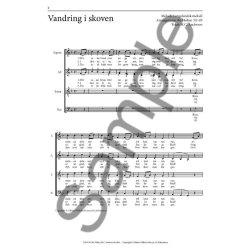 Bo Holten: H.C. Andersen For Kor