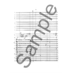 Pelle Gudmundsen-Holmgreen: Collegium Musicum Koncert (Score)