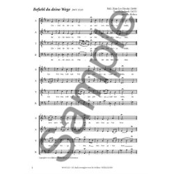 J.S. Bach: Prludien Fr Gemischter Chor