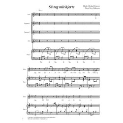 Michael Bojesen: S Tag Mit Hjerte