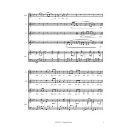 Michael Bojesen: S Tag Mit Hjerte