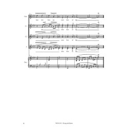 Michael Bojesen: S Tag Mit Hjerte