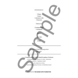 Anders Koppel: Concerto for Viola and Orchestra (Score)