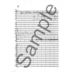 ABRAHAMSEN HANS SKUM