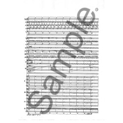 ABRAHAMSEN HANS SKUM