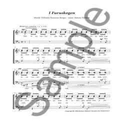 Wilhelm Peterson-Berger: I Furuskogen (TTBB)