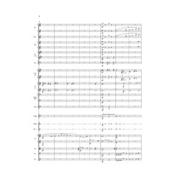 Vagn Holmboe: Concerto For Orchestra (Score)