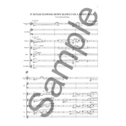 Bent Srensen: It Is Pain Flowing Down Slowly On A White Wall