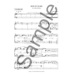 Bent Srensen: Dew Of Tears (Accordion Solo Part)