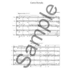 Sunleif Rasmussen: Cantus Borealis For Wind Quintet (Score)
