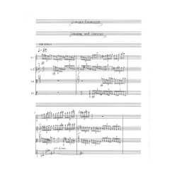 Sunleif Rasmussen: Sunshine And Shadows (score)