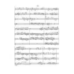 Sunleif Rasmussen: Sunshine And Shadows (score)