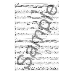 Sunleif Rasmussen: Vogelstimmung (Recorder Solo)