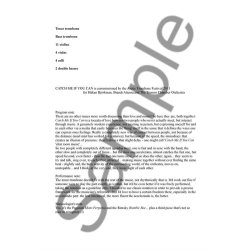 Niels Marthinsen: Catch Me If You Can (or 'To A Distant Beloved')