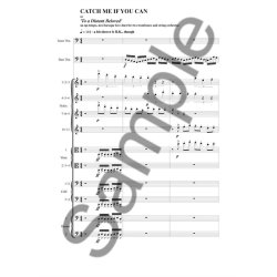 Niels Marthinsen: Catch Me If You Can (or 'To A Distant Beloved')