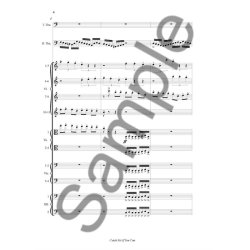 Niels Marthinsen: Catch Me If You Can (or 'To A Distant Beloved')