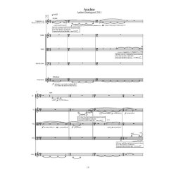 Anders Brdsgaard: Arachne (Score)