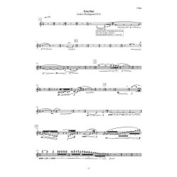 Anders Brdsgaard: Arachne (Parts)